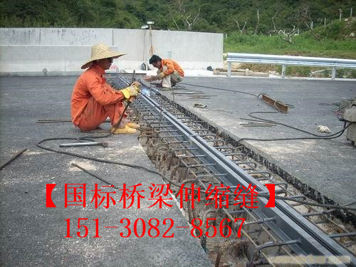 良品淺埋式橋梁伸縮縫裝置 *標橋梁伸縮縫廠家
