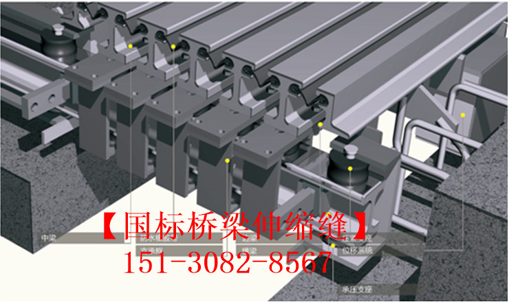 模數(shù)式橋梁伸縮縫裝置 良品*標(biāo)**模數(shù)式伸縮縫