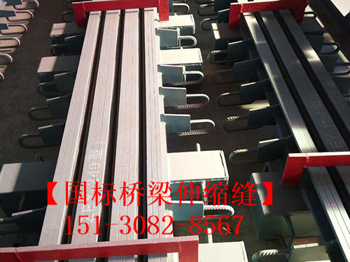 模數(shù)式橋梁伸縮縫裝置 良品*標(biāo)**模數(shù)式伸縮縫