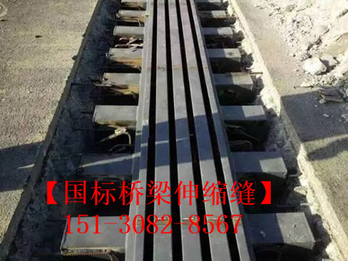 模數(shù)式橋梁伸縮縫裝置 良品*標(biāo)**模數(shù)式伸縮縫
