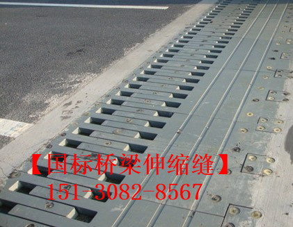 SF梳齒型橋梁伸縮縫的特點 *標SF梳齒型橋梁伸縮縫1