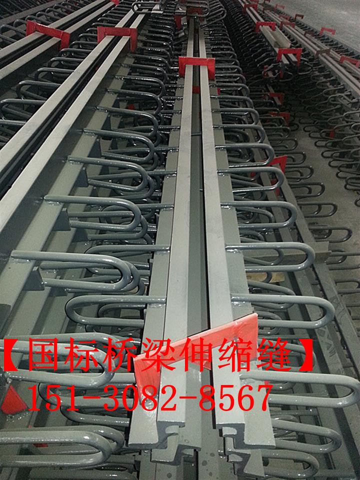 路面伸縮縫 良品*標公路鐵路橋梁伸縮縫裝置