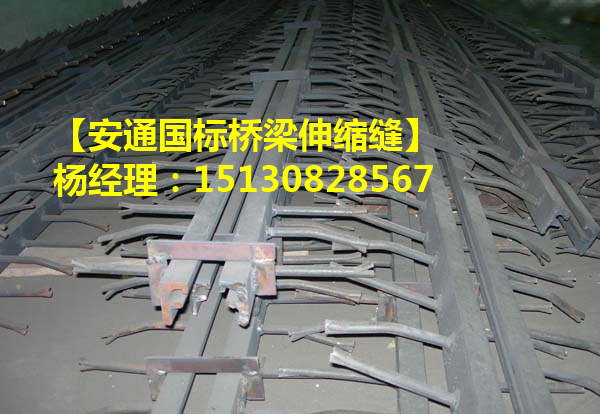 橋梁伸縮縫 GQF-F型橋梁伸縮裝置產(chǎn)品特點(diǎn)1
