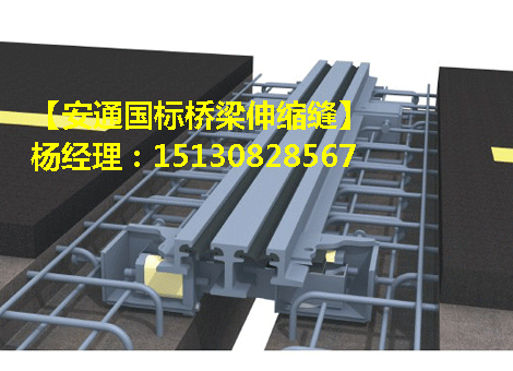 GQF-MZL160型伸縮縫 良品160型模數(shù)式伸縮縫1