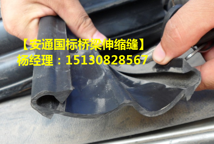 D型伸縮縫密封膠條 *標(biāo)D型伸縮縫密封膠條廠家1