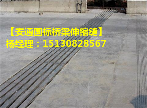 公路橋梁伸縮縫結構、性能及安裝方法介紹1