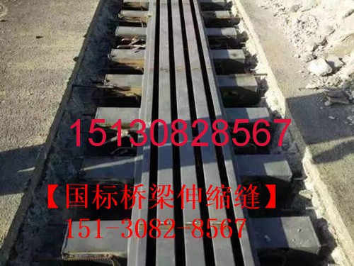 路橋?qū)Ｓ脴蛄荷炜s縫裝置TST、型鋼伸縮縫、模數(shù)式伸縮縫圖集151-3082-8567