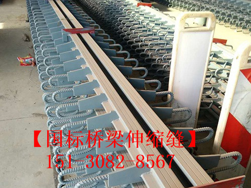 模數(shù)式毛勒橋梁伸縮縫 TST無(wú)縫伸縮縫廠家施工現(xiàn)場(chǎng)151-3082-8567
