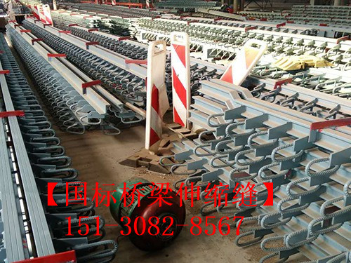 模數(shù)式毛勒橋梁伸縮縫 TST無(wú)縫伸縮縫廠家施工現(xiàn)場(chǎng)151-3082-8567