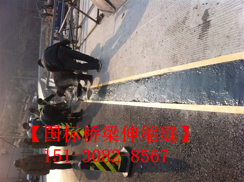 模數(shù)式毛勒橋梁伸縮縫 TST無(wú)縫伸縮縫廠家施工現(xiàn)場(chǎng)151-3082-8567