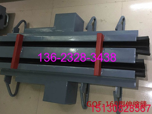 GQF-MZL160型橋梁伸縮縫D160型模數(shù)式伸縮縫實(shí)拍展示1