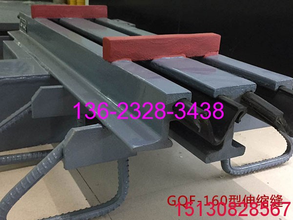 GQF-MZL160型橋梁伸縮縫D160型模數(shù)式伸縮縫實(shí)拍展示2